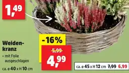 Thomas Philipps Weidenkranz Angebot
