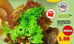 PENNY Deutsches Salat Trio mit Wurzeln Angebot