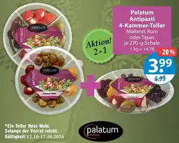 V Markt Palatum Antipasti 4-Kammer-Teller Angebot