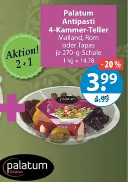 V Markt Palatum Antipasti 4-Kammer-Teller Angebot