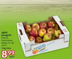 Selgros Apfel Jonagold Angebot