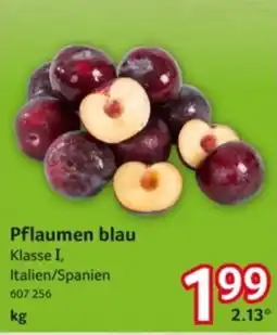 Selgros Pflaumen blau Angebot