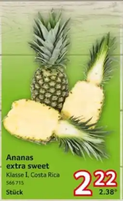 Selgros Ananas extra sweet Angebot