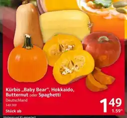 Selgros Kürbis ,,Baby Bear", Hokkaido, Butternut oder Spaghetti Angebot