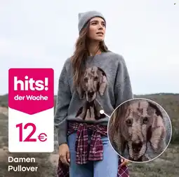 PEPCO Damen Pullover Angebot