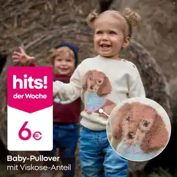 PEPCO Baby-Pullover mit Viskose-Anteil Angebot