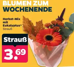 Netto Herbst-Mix mit Eukalyptus Angebot