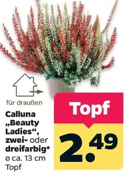 Netto Calluna ,,Beauty Ladies", zwei- oder dreifarbig Angebot