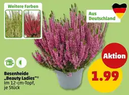 PENNY Besenheide "Beauty Ladies" Angebot