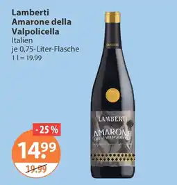 V Markt Lamberti Amarone della Valpolicella Angebot