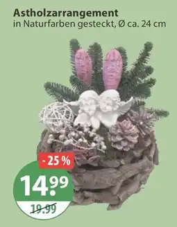 V Markt Astholzarrangement Angebot