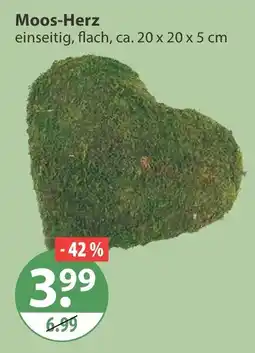 V Markt Moos-Herz Angebot
