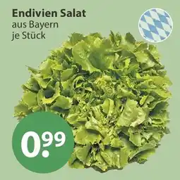 V Markt Endivien Salat aus Bayern Angebot