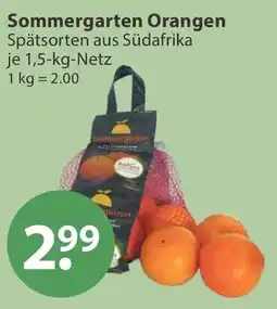 V Markt Sommergarten Orangen Angebot