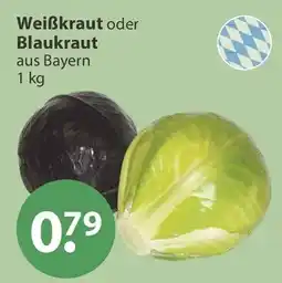 V Markt Weißkraut oder Blaukraut Angebot