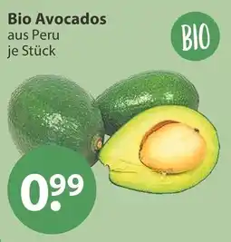 V Markt Bio Avocados Angebot
