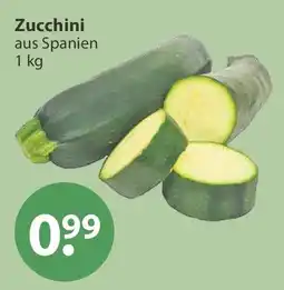 V Markt Zucchini aus Spanien Angebot