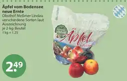 V Markt Äpfel Angebot
