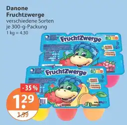 V Markt Danone Fruchtzwerge Angebot