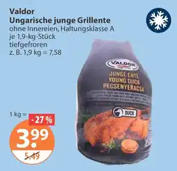 V Markt Valdor Ungarische junge Grillente Angebot
