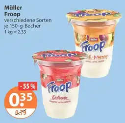 V Markt Müller Froop Angebot