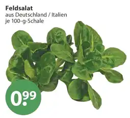 V Markt Feldsalat Angebot