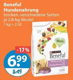 V Markt Beneful Hundenahrung Angebot