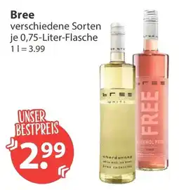 V Markt Bree Angebot