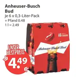 V Markt Anheuser-Busch Bud Angebot