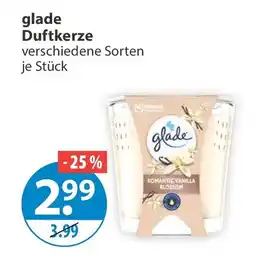 V Markt glade Duftkerze Angebot