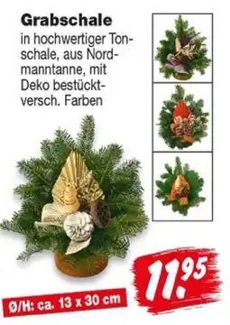 Repo Markt Grabschale Angebot