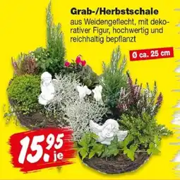 Repo Markt Grab-/Herbstschale Angebot