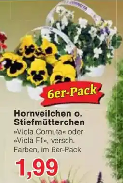 Jawoll Hornveilchen o. Stiefmütterchen Angebot