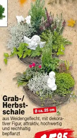 Repo Markt Grab-/Herbstschale Angebot
