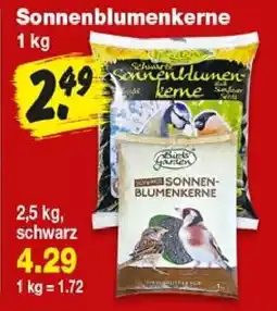 Repo Markt Schwarze Sonnenblumenkerne Angebot