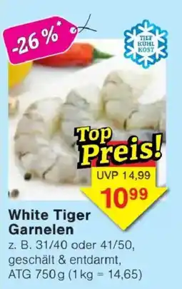 Jawoll White Tiger Garnelen Angebot