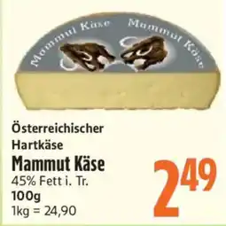 inkoop Österreichischer Hartkäse Mammut Käse Angebot