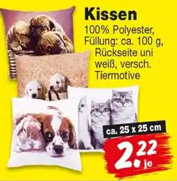 Repo Markt Kissen Angebot