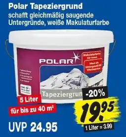 Repo Markt Polar Tapeziergrund Angebot