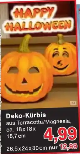 Jawoll Deko-Kürbis Angebot