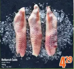 inkoop Rotbarsch-Loins Angebot