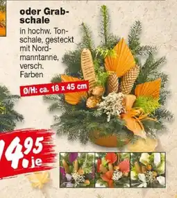 Repo Markt Grab-schale Angebot