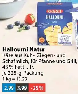 V Markt GAZI Halloumi Natur Angebot