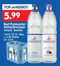 Hol'ab Getränkemarkt Bad Pyrmonter Mineralwasser Angebot