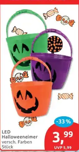 Budni LED Halloweeneimer Angebot
