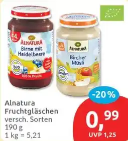 Budni Alnatura Fruchtgläschen Angebot