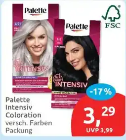 Budni Palette Intensiv Coloration Angebot