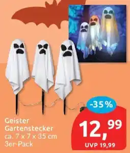 Budni Geister Gartenstecker Angebot