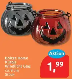 Budni Boltze Home Kürbis Windlicht Glas Angebot