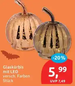 Budni Glaskürbis mit LED Angebot